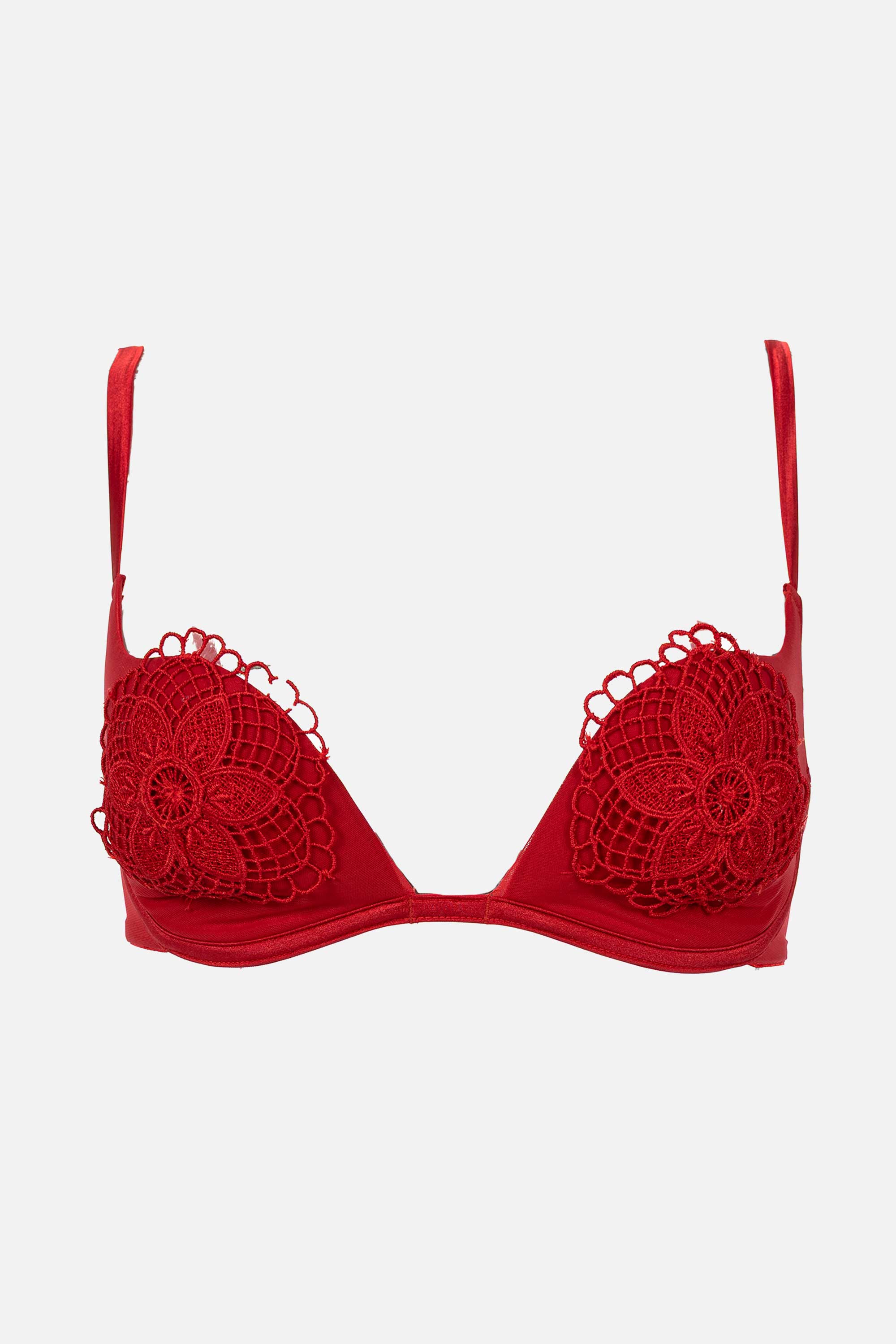 Ellipse Memories Padded Underwire Bra