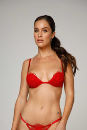 Ellipse Memories Padded Underwire Bra
