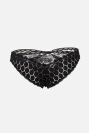 ELLIPSE CONTINUITY CHEEKY PANTY