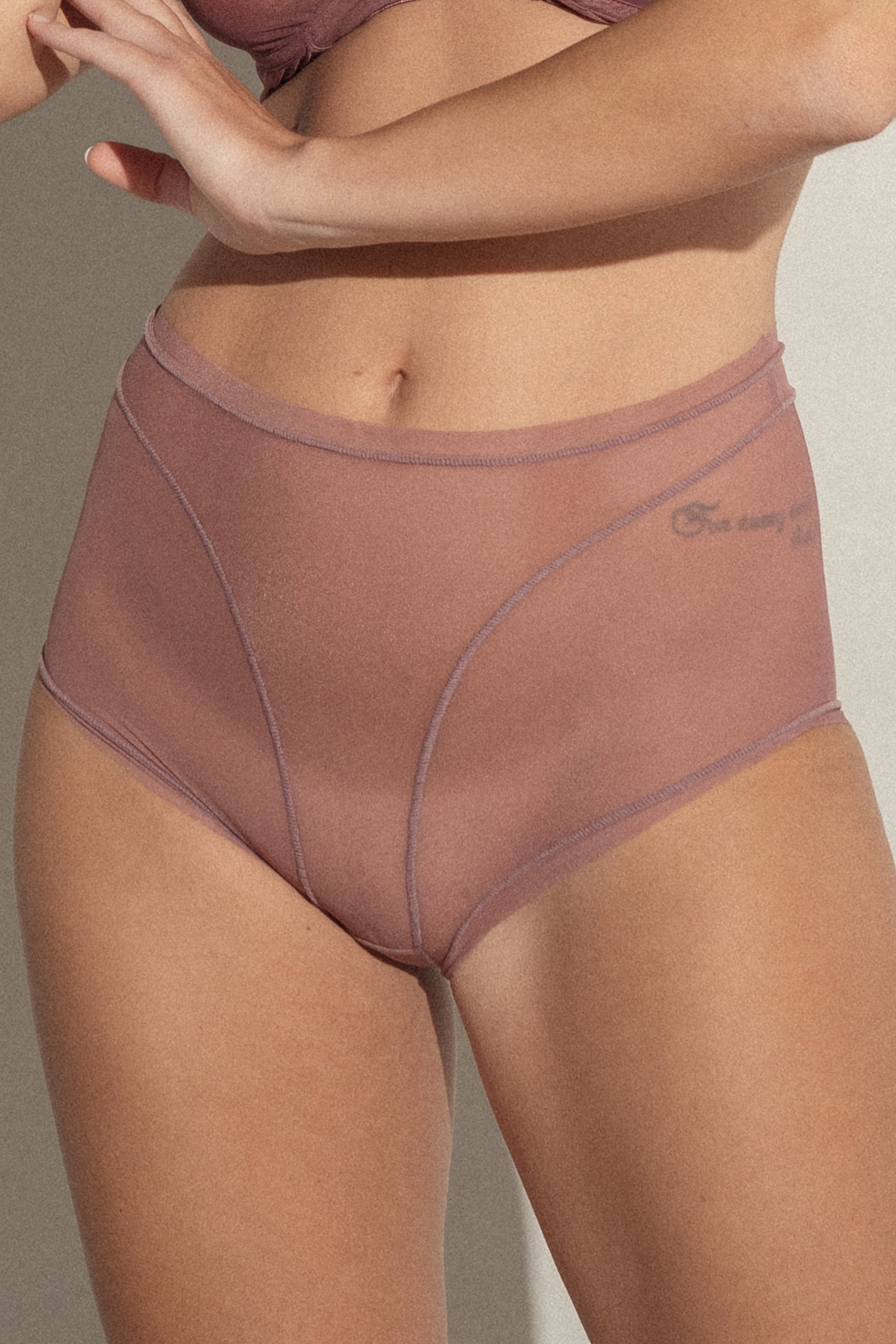 Invisible High Waisted Tulle Brief Plum