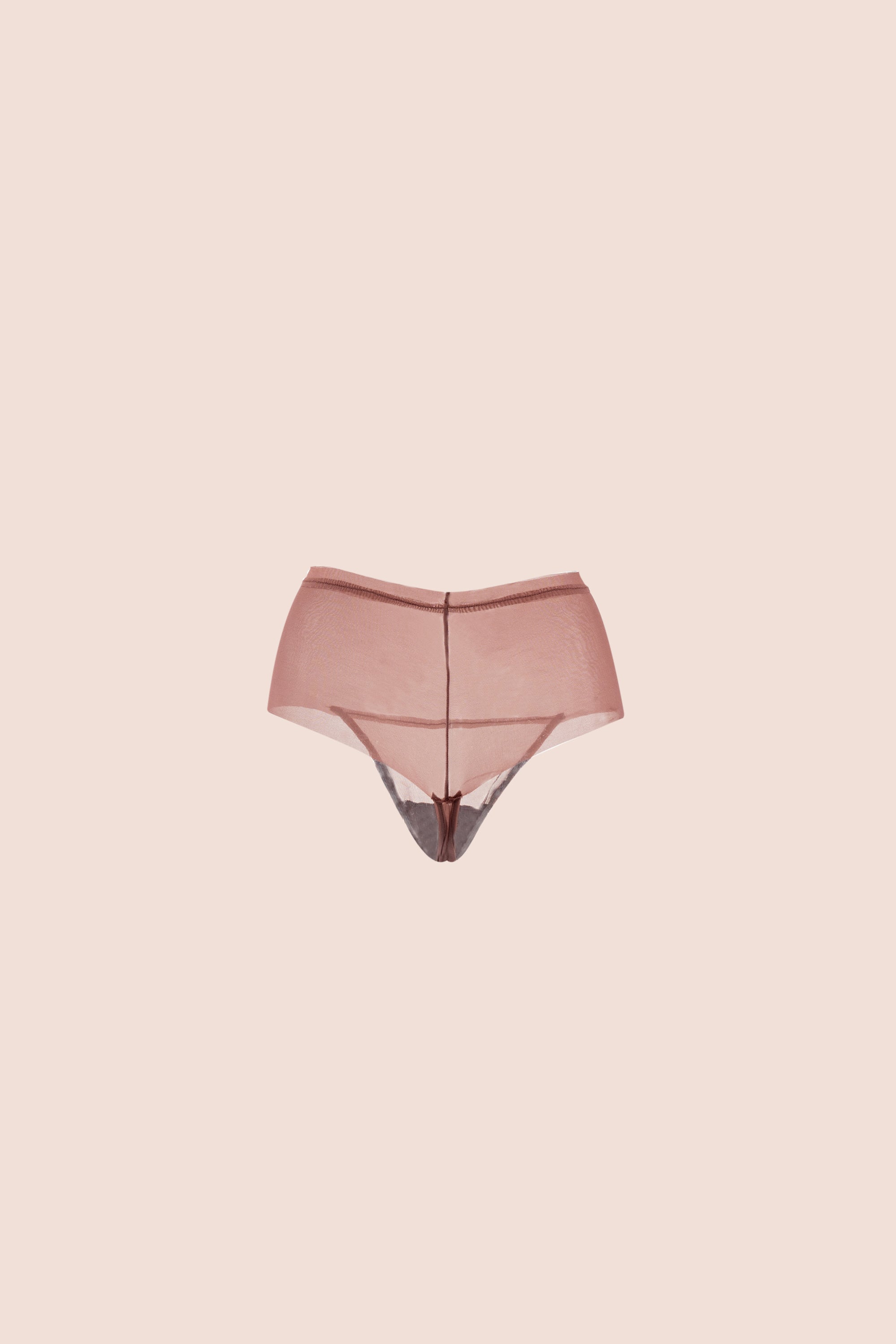 Invisible High-Waisted Tulle Thong Plum