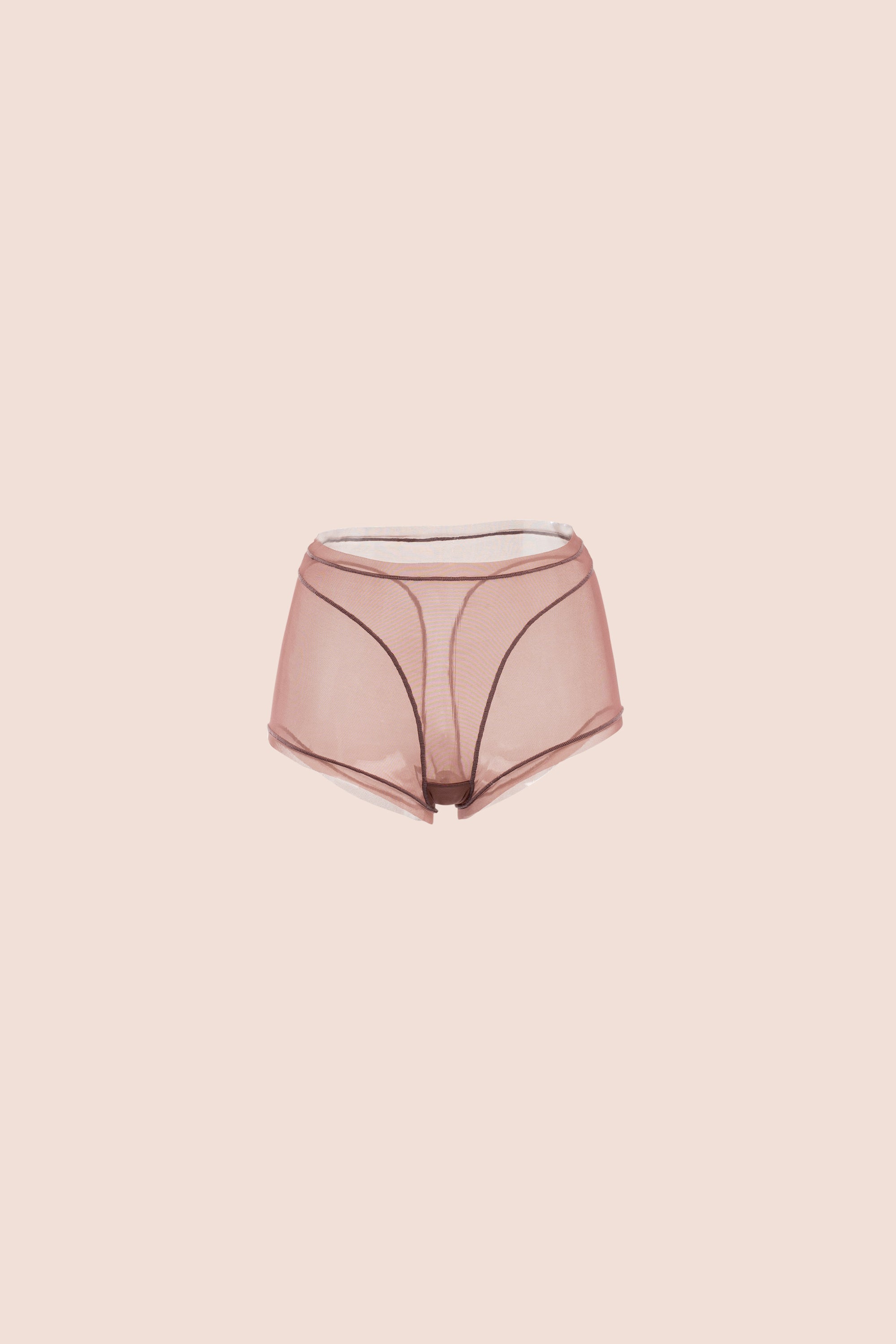 Invisible High Waisted Tulle Brief Plum
